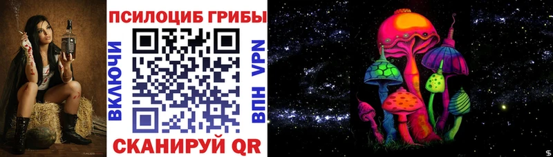 Псилоцибиновые грибы мицелий  закладки  Гаврилов-Ям 